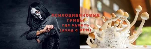 a pvp Заводоуковск