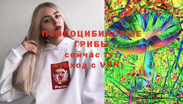 ALPHA PVP Заволжск